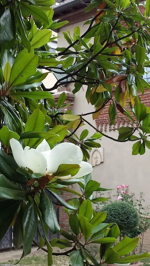 Bed & Breakfast B&B San Martino Mede